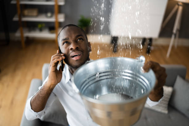 Best Water damage restoration mold remediation  in Clermont, GA