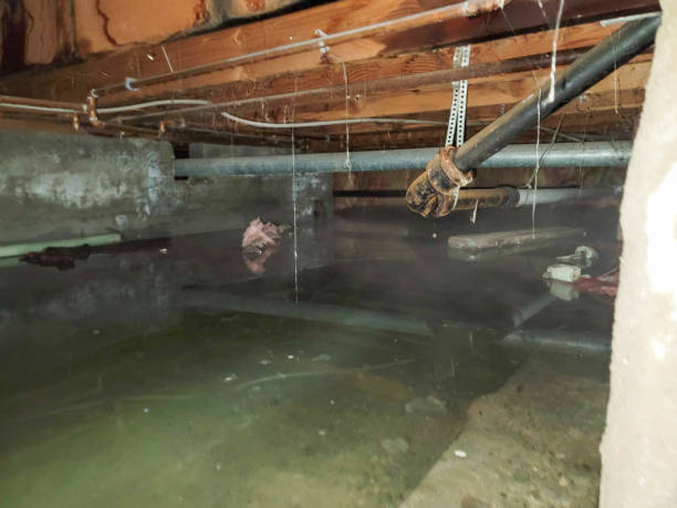  Clermont, GA Water damage restoration Pros