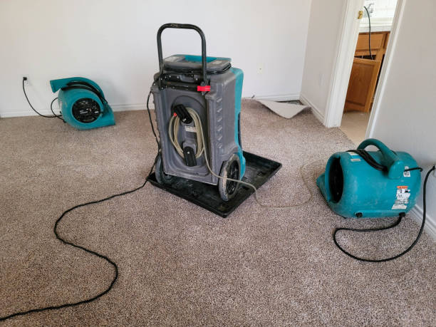 Best Water damage contractors near me  in Clermont, GA