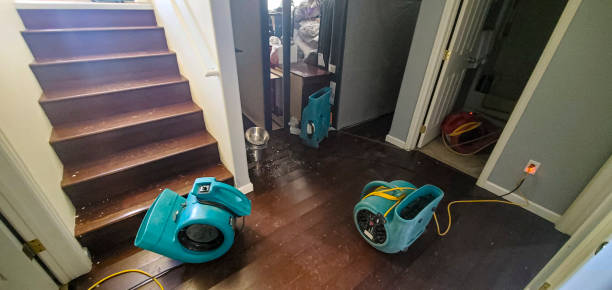 Best 24/7 water damage repair  in Clermont, GA