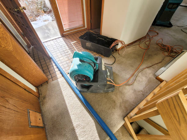 Best Fire Damage Restoration  in Clermont, GA