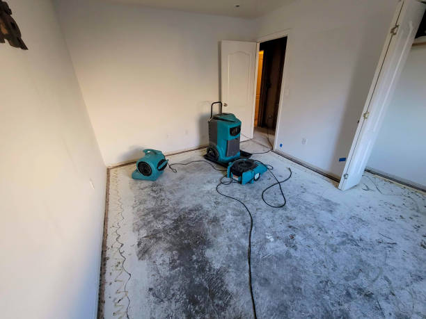 Water damage restoration experts in Clermont, GA