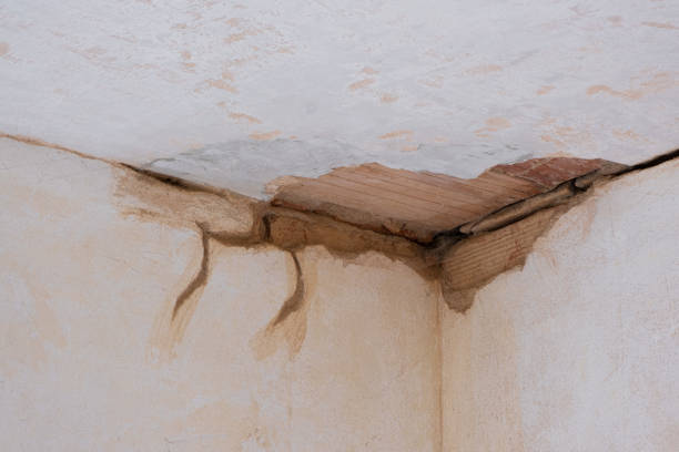 Water damage restoration mold remediation in Clermont, GA