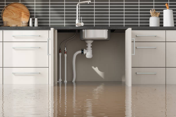 Best Flood restoration services  in Clermont, GA