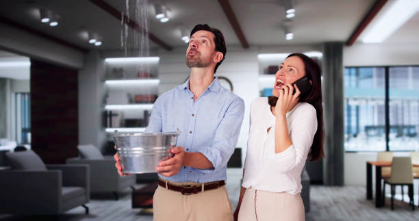 Best Water damage restoration near me  in Clermont, GA