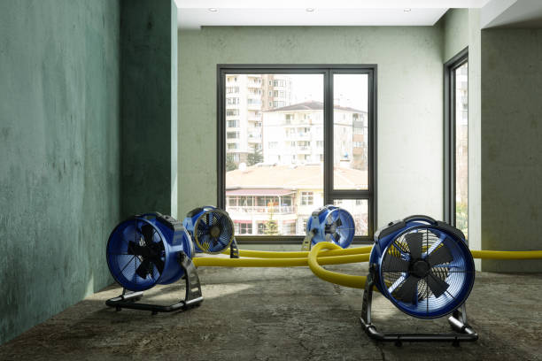 Best Sewage cleanup and water damage restoration  in Clermont, GA